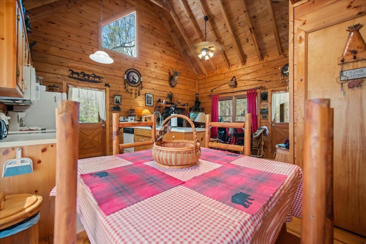 Cozy Cabin Beside Briar Creek, Fire Pit, Wifi Villa Ellijay Luaran gambar