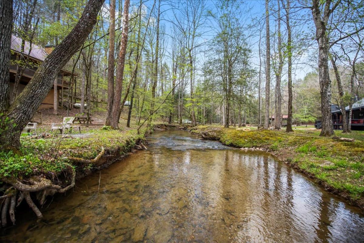 Cozy Cabin Beside Briar Creek, Fire Pit, Wifi Villa Ellijay Luaran gambar