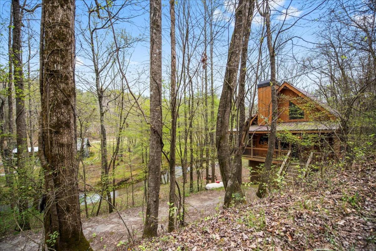 Cozy Cabin Beside Briar Creek, Fire Pit, Wifi Villa Ellijay Luaran gambar